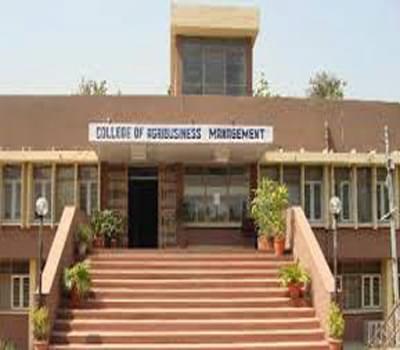 College of Agribusiness Management Udham Singh Nagar Academic Building photo 1